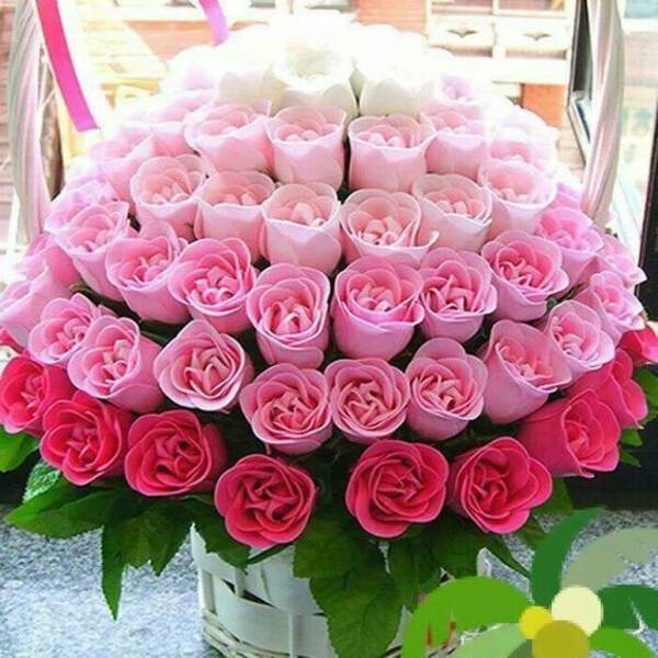 CAJA DE ROSAS