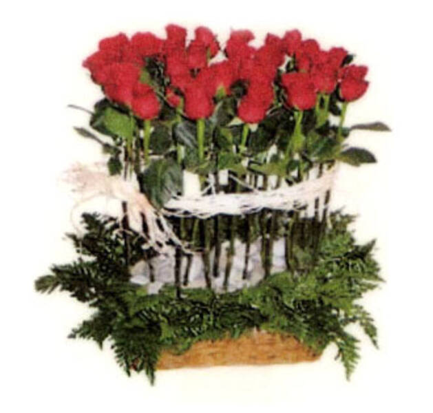 JARDIN DE ROSAS