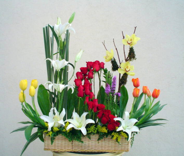 TULIPANES Y ROSAS (PREGUNTAR ANTES DE SOLICITAR)