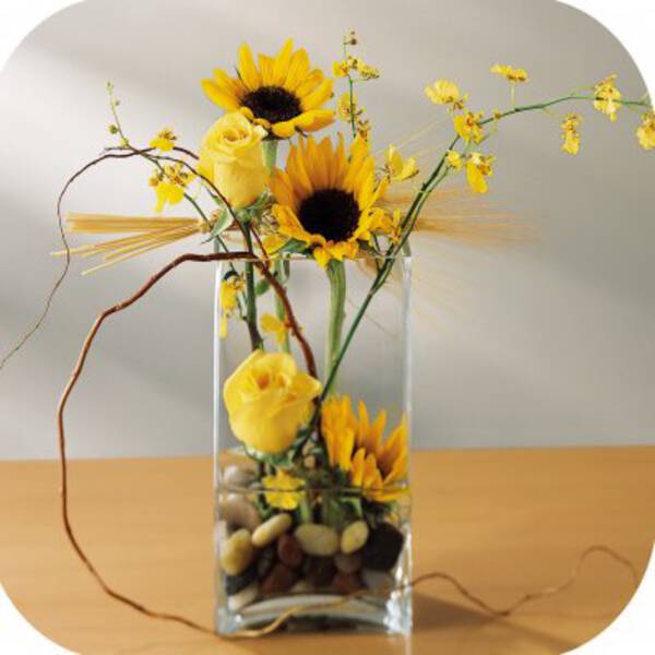 GIRASOL