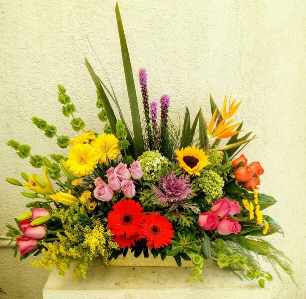 PRIMAVERA