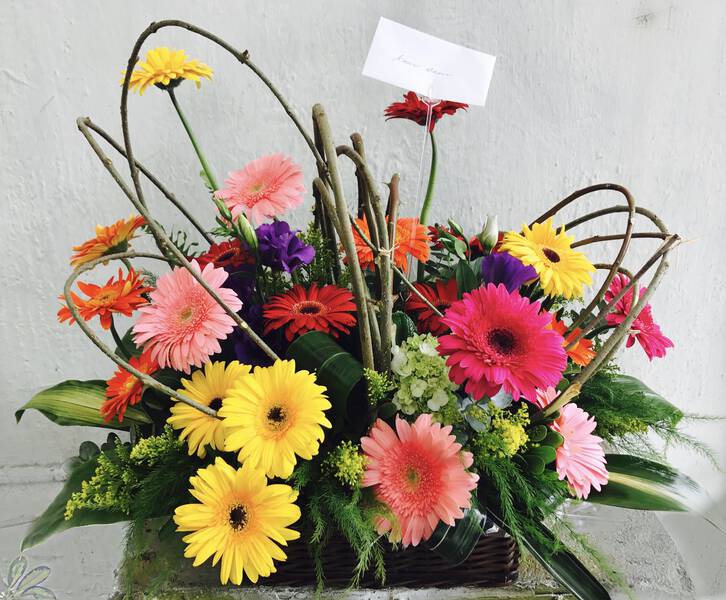 GERBERAS