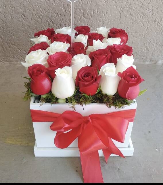 BLANCO Y ROJO