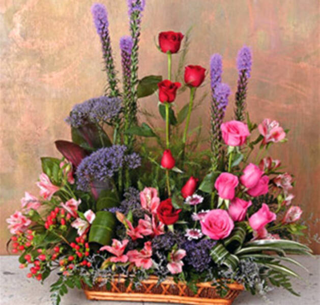 JARDIN CELEBRACION