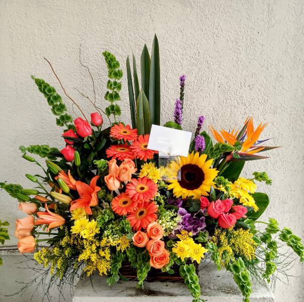 COMBINACION NARANJA