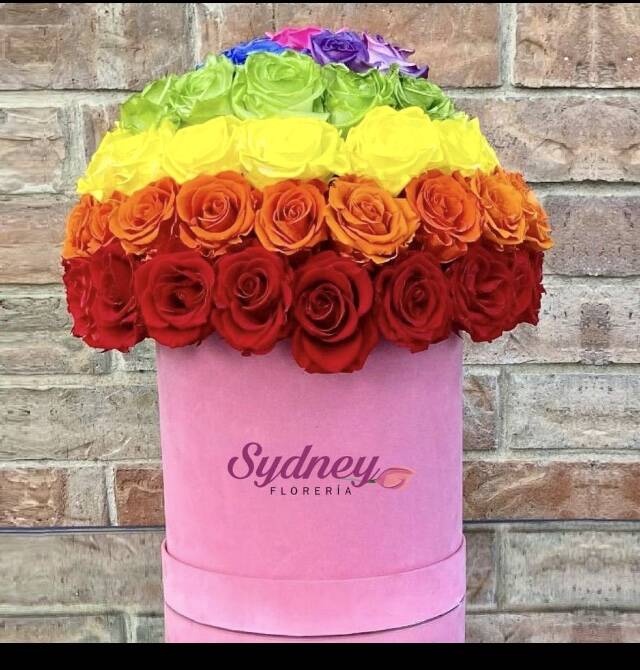 CAJA DE ROSAS ARCO IRIS (LA BASE PUEDE VARIAR)