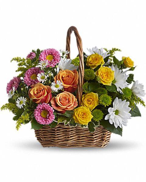 ESPLENDOR DE ROSAS