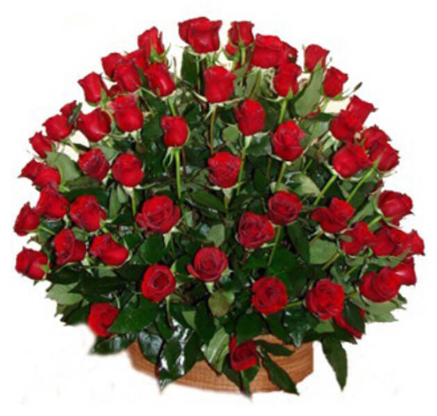 TODO MI AMOR