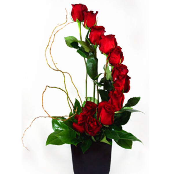 VERTICAL OF ROSES