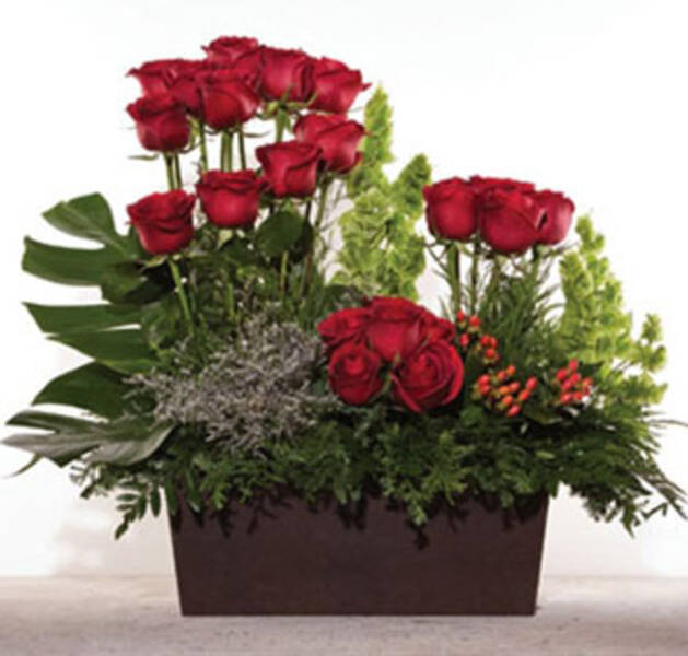 ROSAS FANTASIA