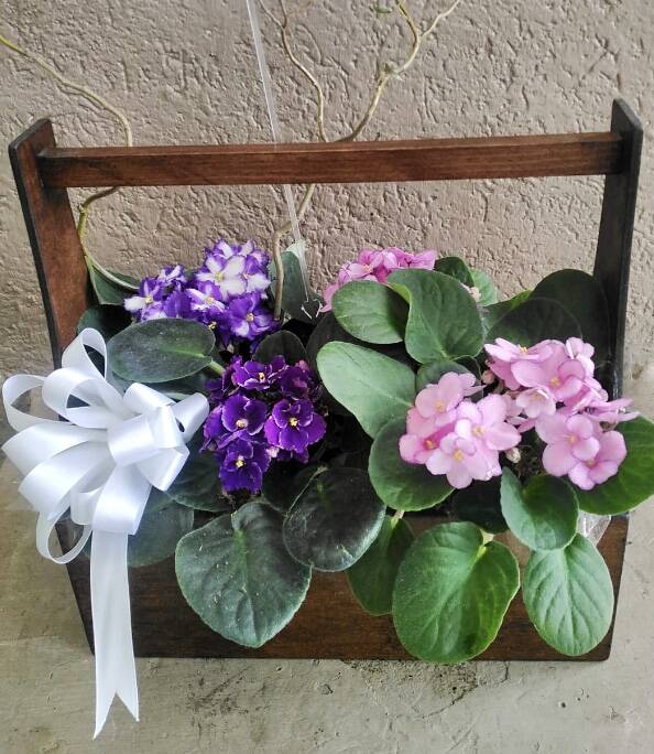 Canasta de violetas(no disp