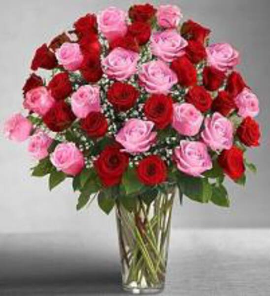 SIMPLEMENTE ROSAS