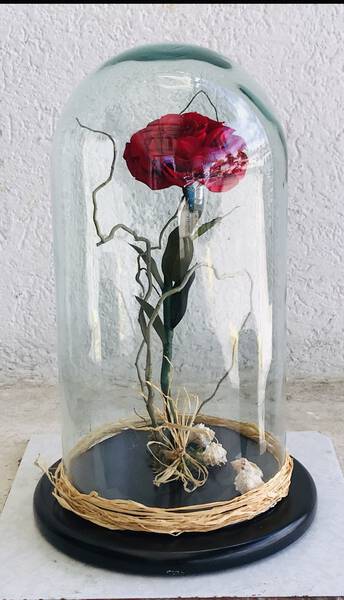 INSPIRACION