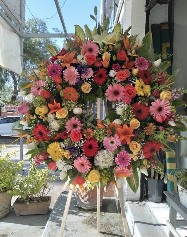 HONRA FUNEBRE