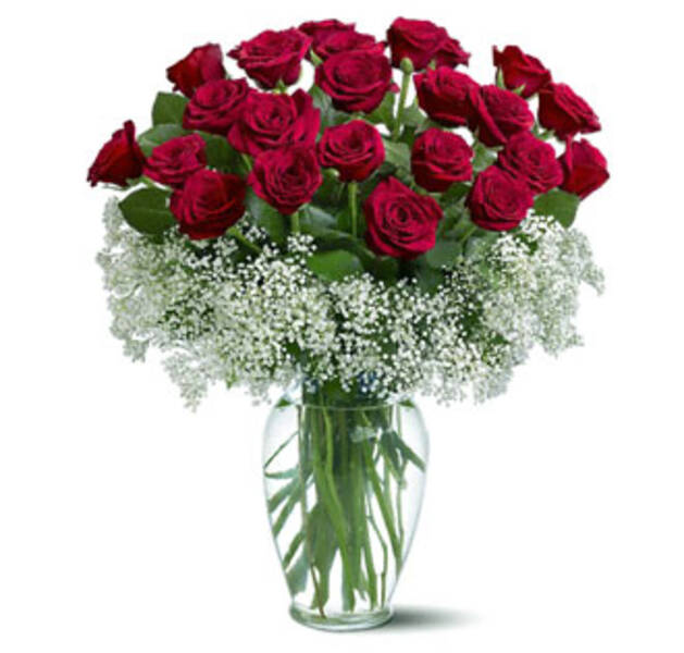 CAMPO DE  ROSAS