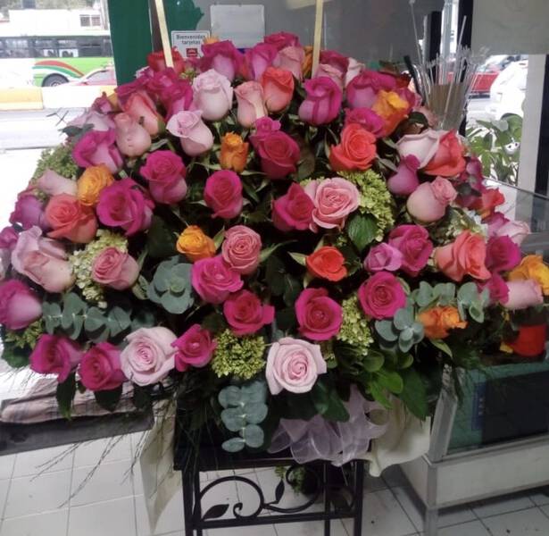 SENSACION DE COLORES