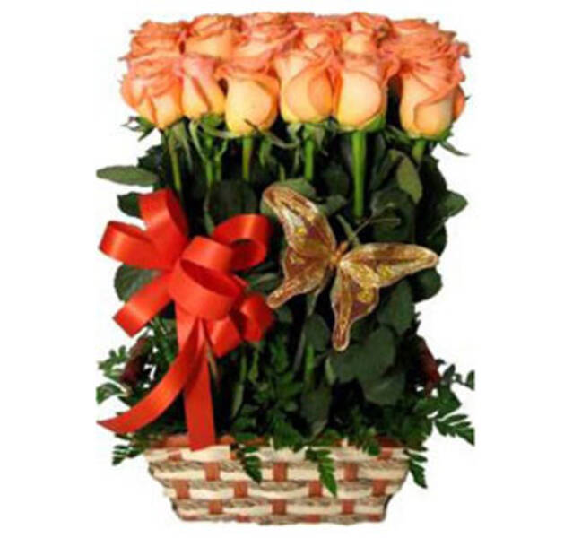 ROSAS DE VERANO