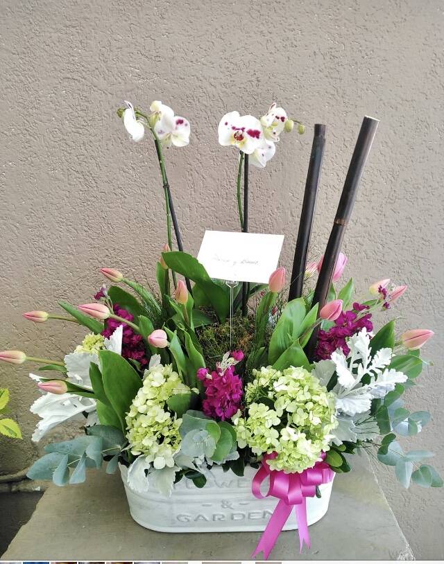 ORQUIDEAS Y TULIPANES