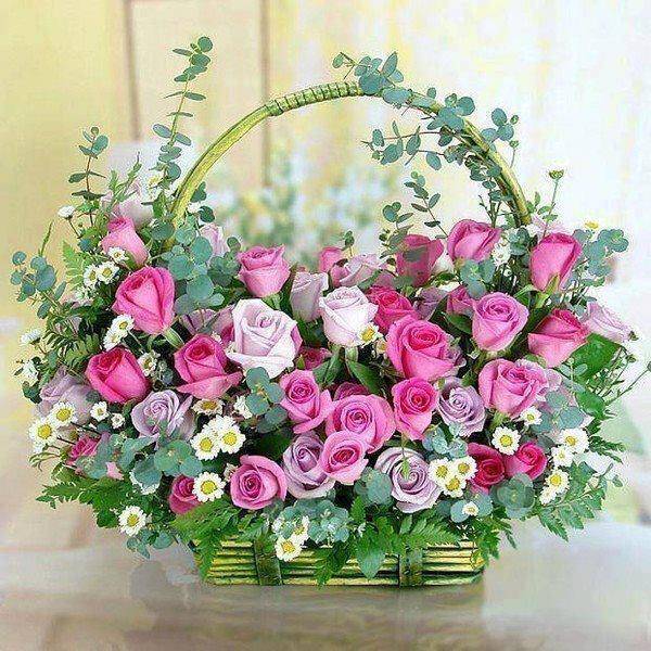 HERMOSAS ROSAS