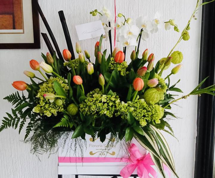FLORES ALEGRIA