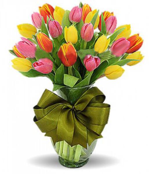 TULIPANES DE COLORES