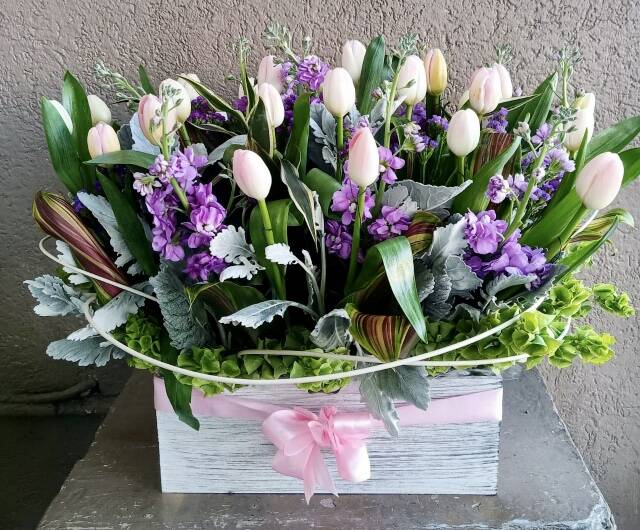 Lavanda
