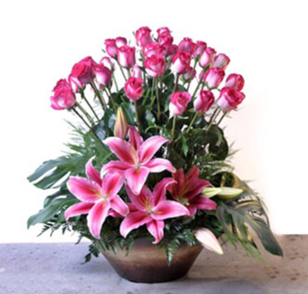 SORPRESA ROSA
