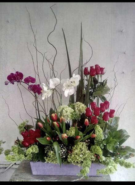 ORQUIDEAS(no disp. el 12,13 Y 14)