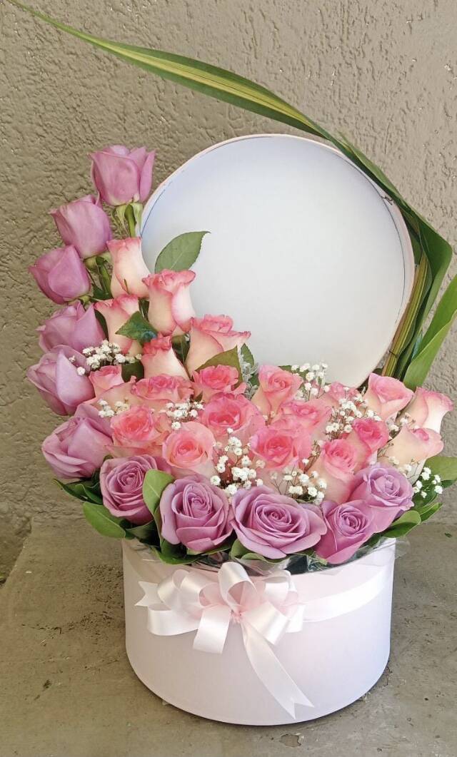 Rosa