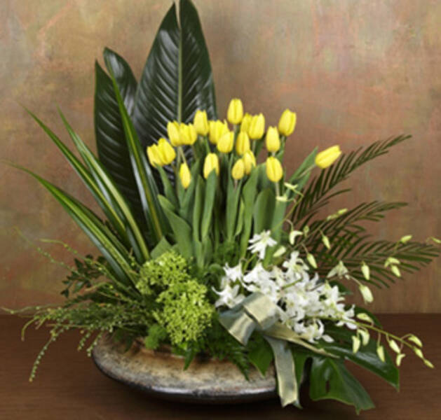 TULIPANES AMARILLOS