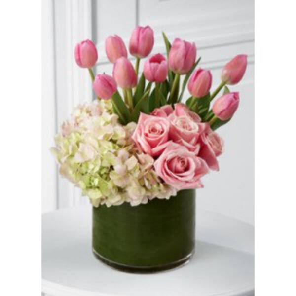 TULIPANI ROSA